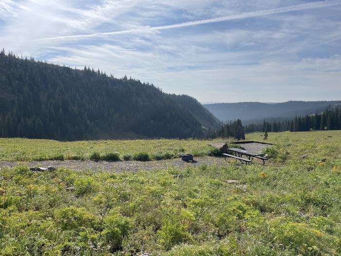 A photo of Site 13 at Deep Lake Campground with Picnic Table, Fire Pit, Tent Pad.