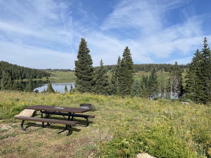 A photo of Site 21 at Deep Lake Campground with Picnic Table, Fire Pit.