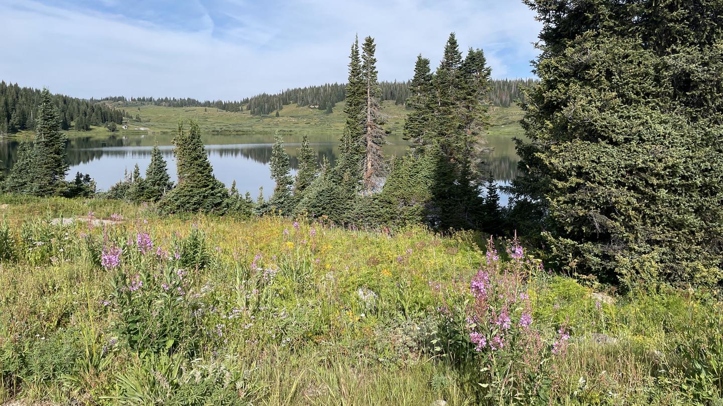 Deep Lake from Deep Lake Campground