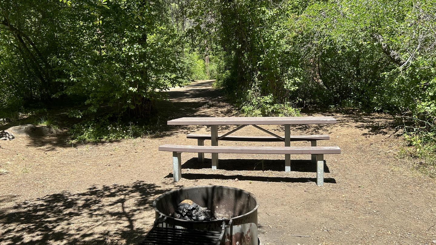 Site surrounded by brush and trees offering shade on a hot summer day.Brownlee Campground Site #2