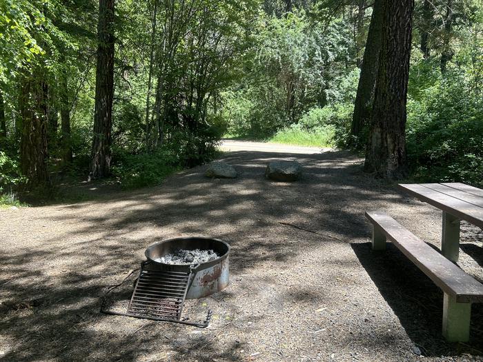 Forested campsite with picnic table and fire ring. Brownlee Site #11