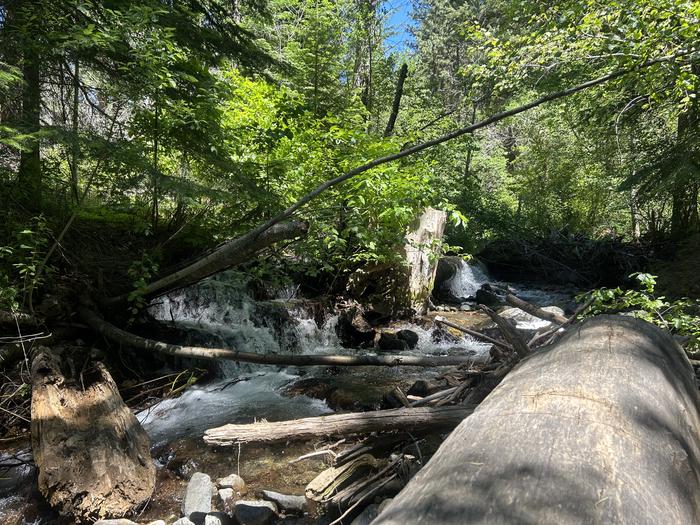 Brownlee creek flowing near the campground with green trees shading the creek.Brownlee Creek flows near the campground