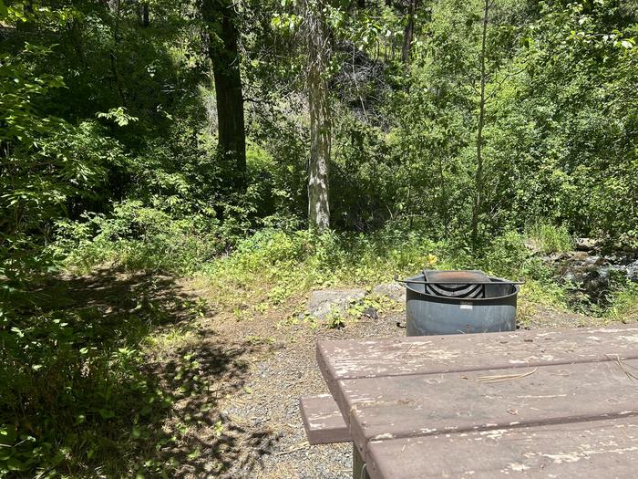 Brownlee Site #1 with picnic table and fire ring.Brownlee Site #1