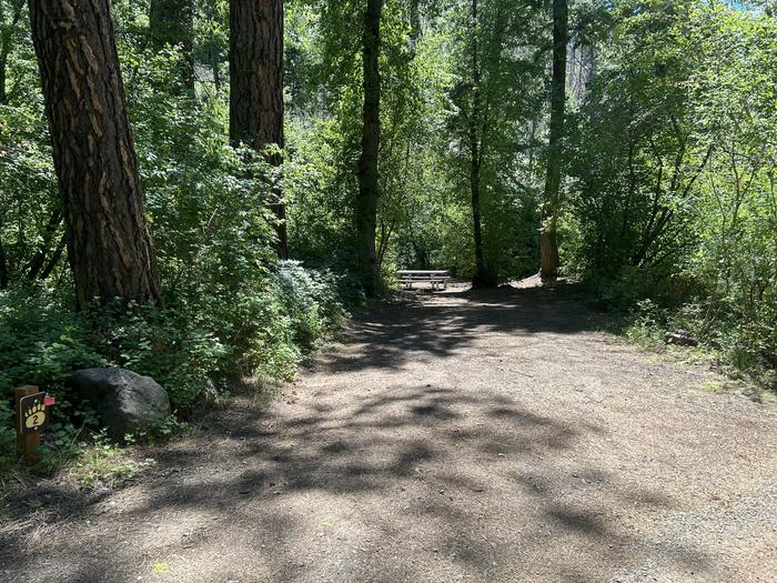 Brownlee Site parking spur shaded by trees.Brownlee Site #2