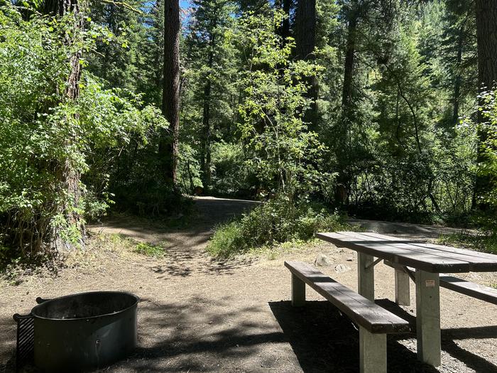 Brownlee Campground Site 3 with picnic table and fire ring surrounded by green trees and bushes.Brownlee Site #3