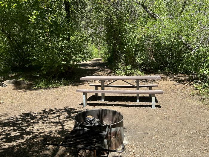 Brownlee Campsite #2 with picnic table and fire ring. Brownlee Campsite #2.