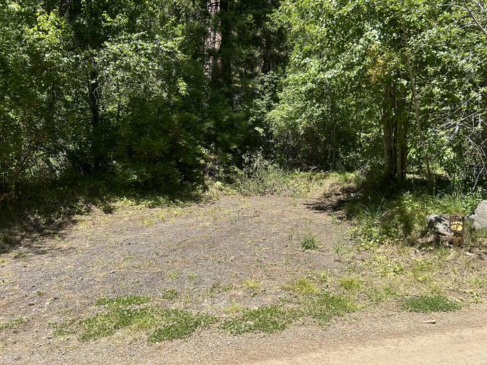 Brownlee site #1 with small parking spur surrounded with trees and bushes.Brownlee campsite #1 parking spur.