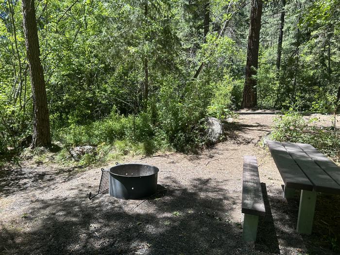 Brownlee Campsite #4 surrounded by trees with partial shade for the picnic table and fire ring.Brownlee campsite #4