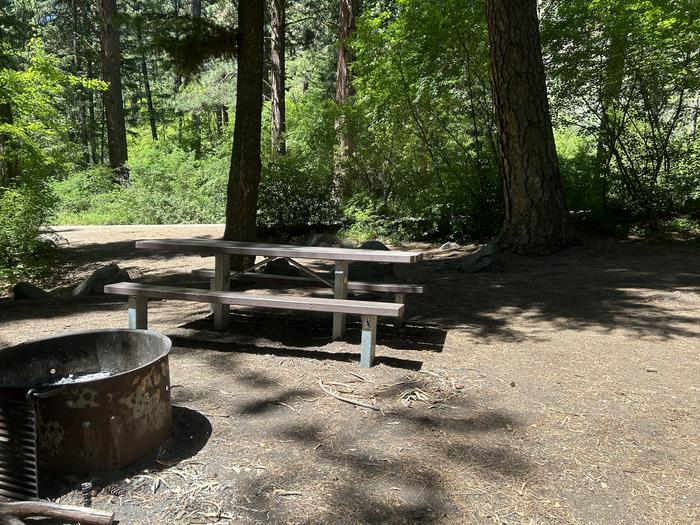 Brownlee Campsite #5 with partial shade for the picnic table and fire ring.Brownlee Campsite #5