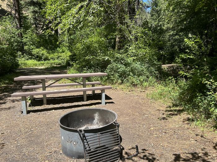 Brownlee Campsite #10 with picnic table and fire ringBrownlee Campsite #10