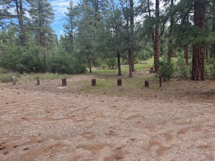 A photo of Site 03 of Loop East Spur at Ute Campground (CO) with Picnic Table, Fire Pit, Shade