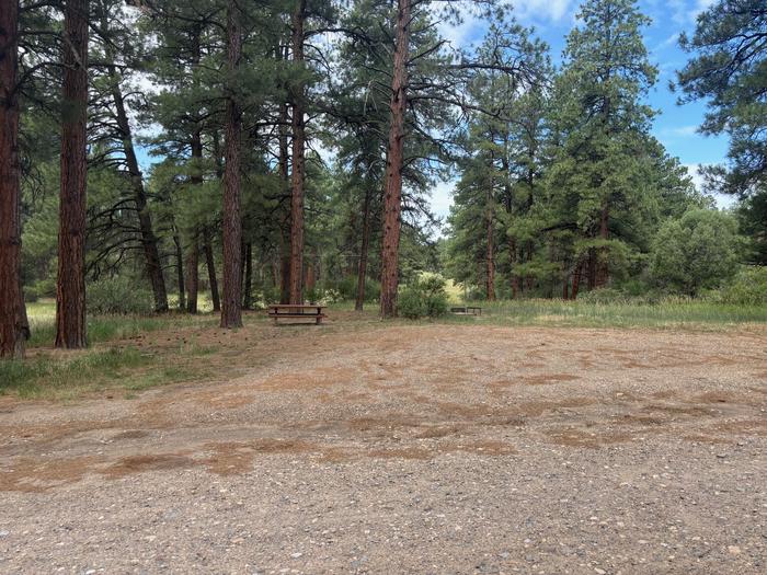 A photo of Site 05 of Loop Main Loop at Ute Campground (CO) with Picnic Table, Fire Pit, Shade