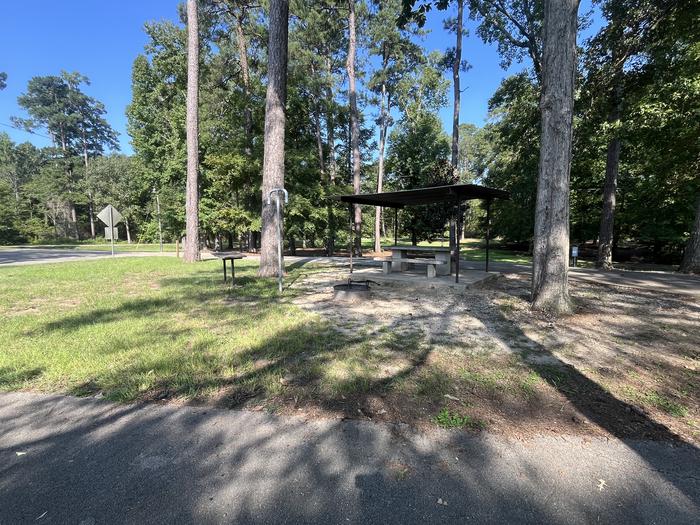 A photo of Site 37 of Loop MAGNOLIA RIDGE  at MAGNOLIA RIDGE with Picnic Table, Fire Pit, Lantern Pole