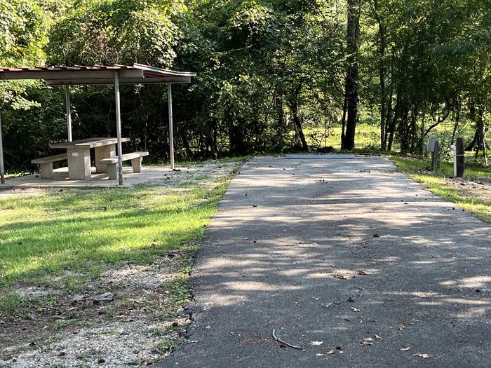 A photo of Site 37 of Loop MAGNOLIA RIDGE  at MAGNOLIA RIDGE with Picnic Table, Electricity Hookup, Fire Pit, Shade