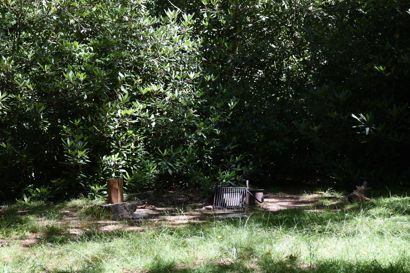 Johns River Road Backcountry Campsite with Grill