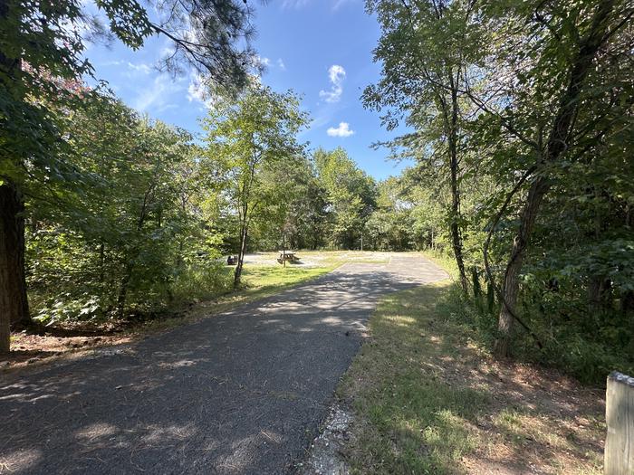 A photo of Site G019 of Loop G LOOP at ZILPO - DANIEL BOONE NAT. FOR. with Picnic Table, Fire Pit, Tent Pad, Lantern Pole