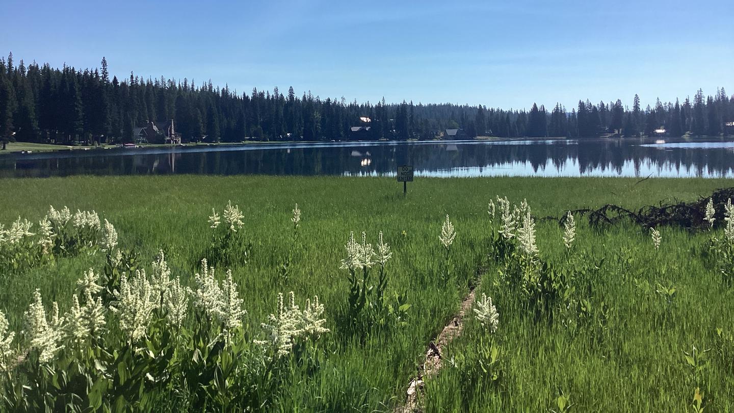 View from day use areano access to the lake