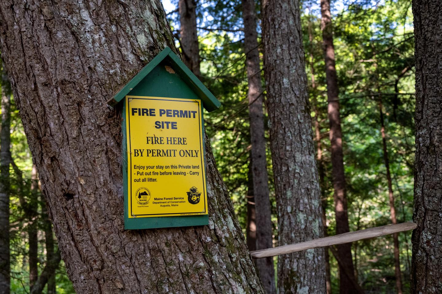 A yellow sign posted on a tree that reads "Fire permit site". Campers are required to get a fire permit before arrival.A free permit must be acquired to kindle a campfire before you visit by contacting the Maine Forest Service at 207-435-7963.