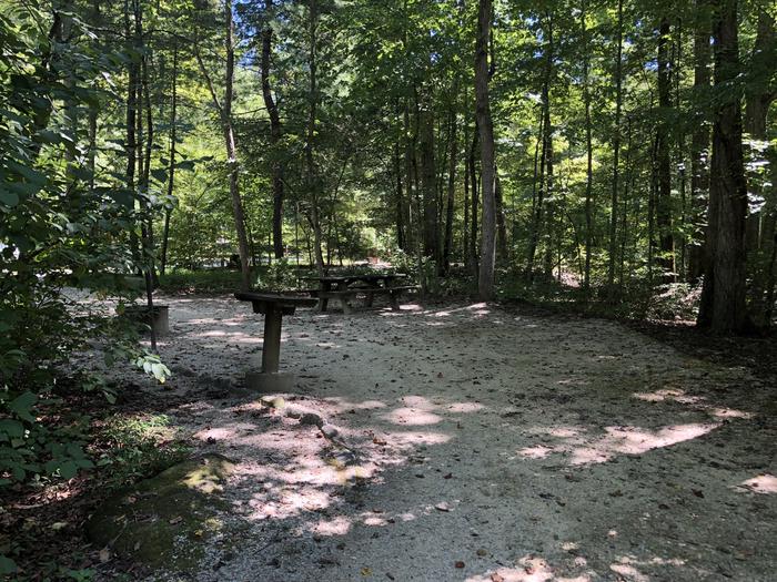 A photo of Site 001 of Loop CAVE MOUNTAIN LAKE FAMILY CAMP at CAVE MOUNTAIN LAKE FAMILY CAMP with Picnic Table, Fire Pit, Shade, Tent Pad, Lantern Pole