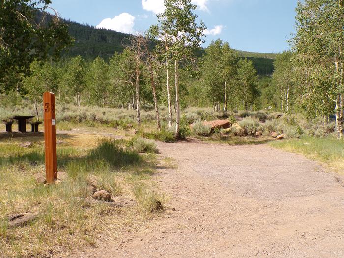 Site #3 Bowery CreekSite #3