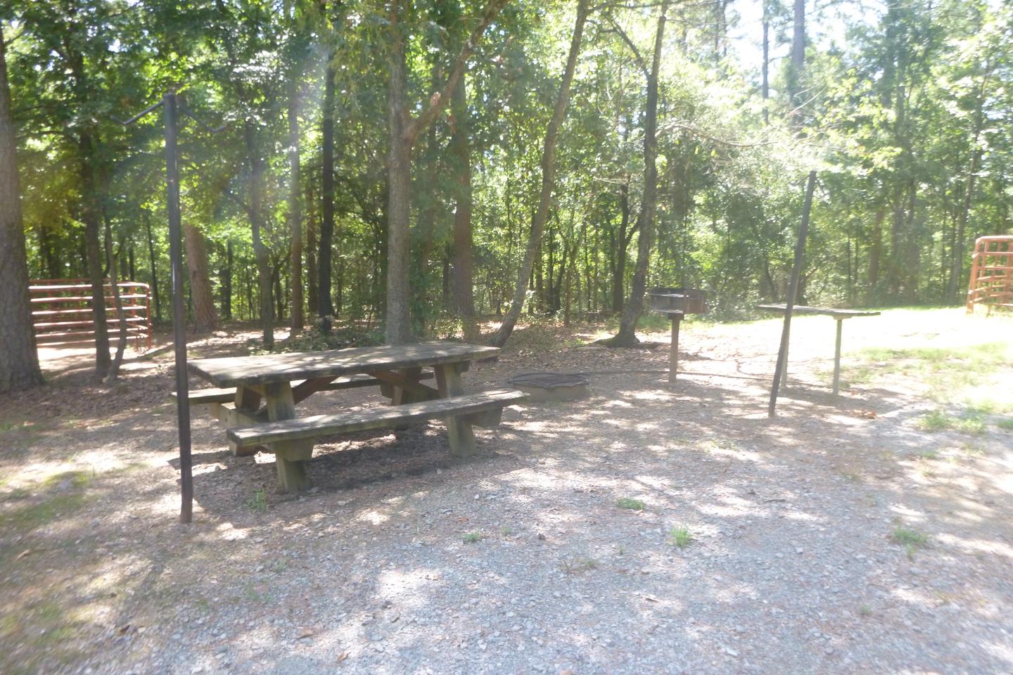 Picnic table, fire ring, grillPicnic table, fire ring, grill at site E1