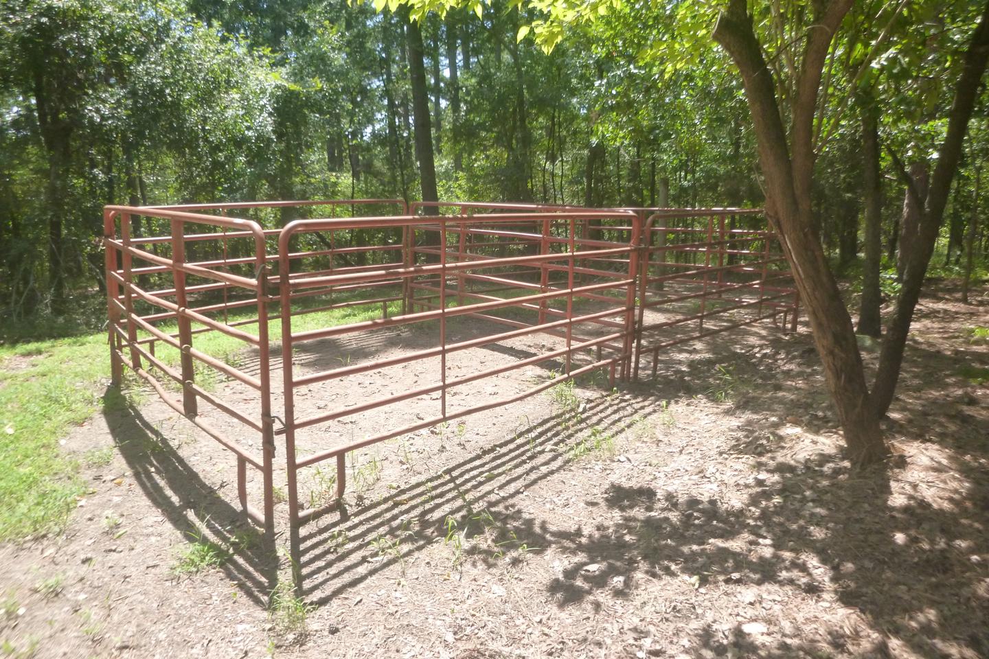 Horse penHorse pen at site E1