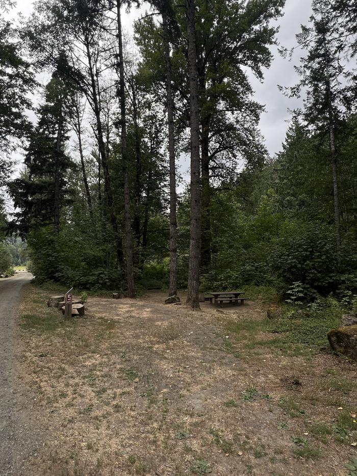 Santiam Flats Campground Site 3