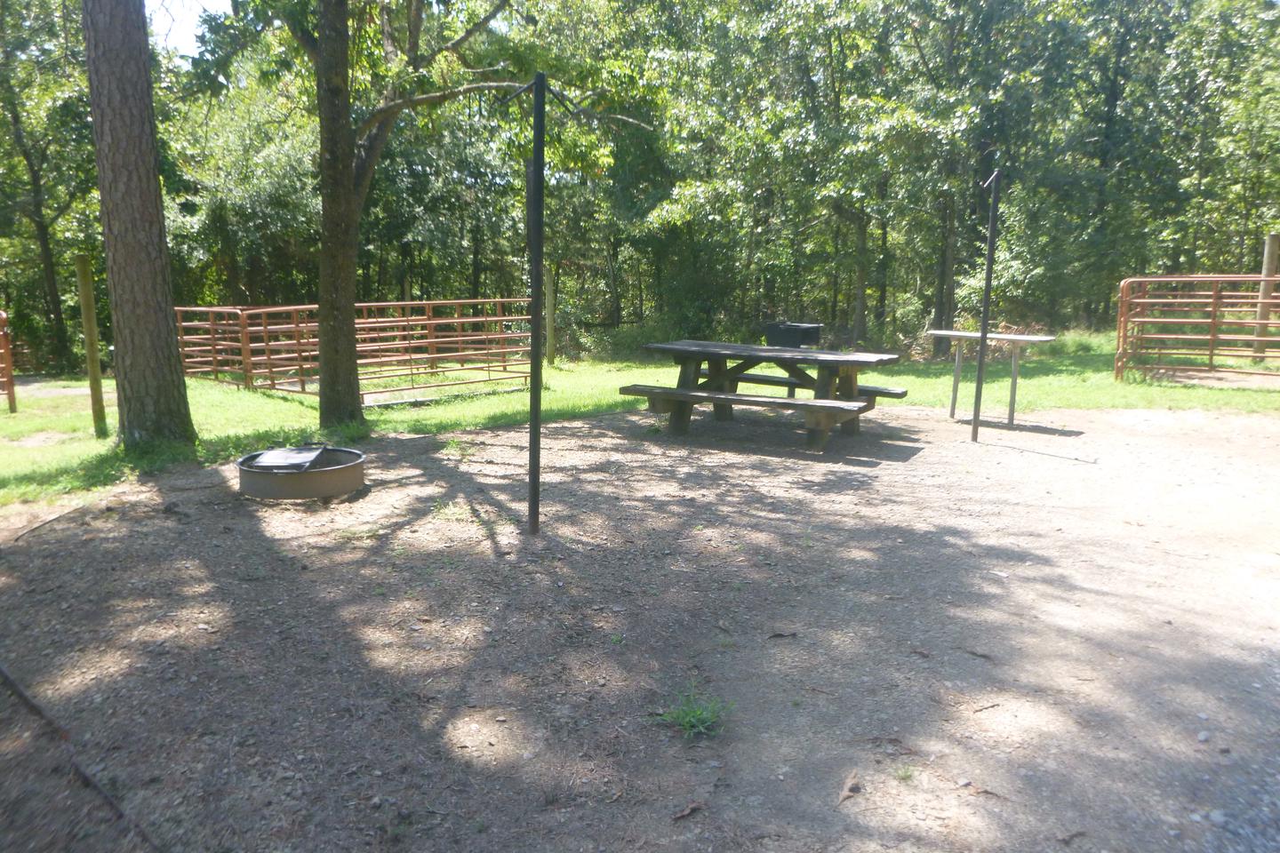 Site E6 with picnic table, fire ring, lantern posts and grillSite E6