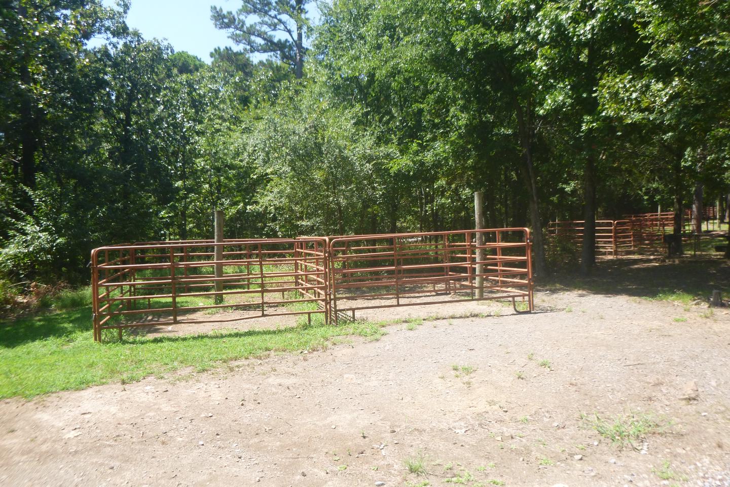 Site E6 with horse penHorse pens at site E6