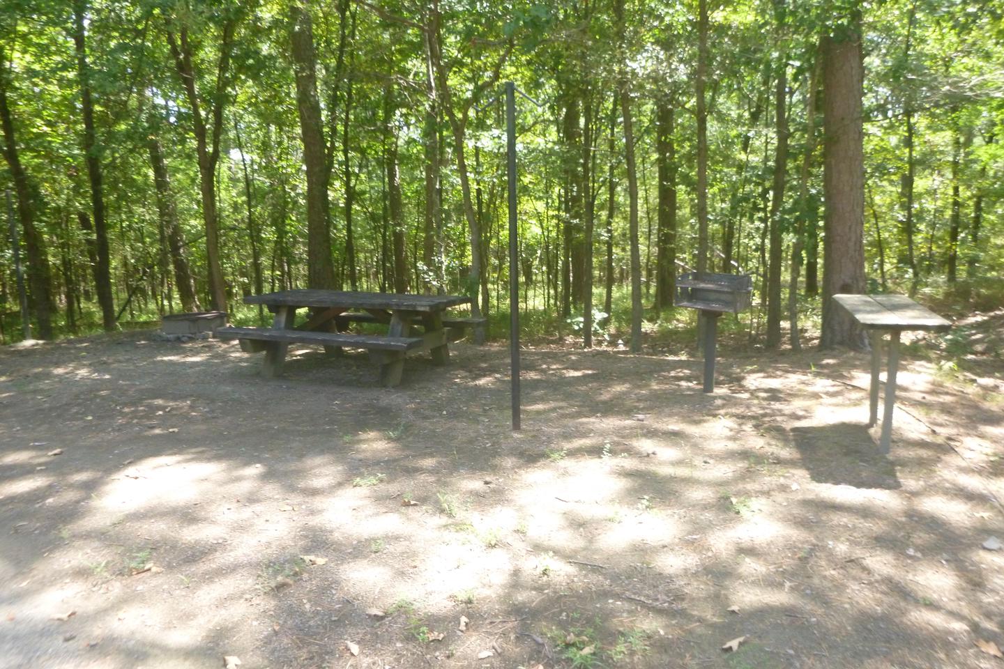 Site E9 with picnic table, grill, lantern posts