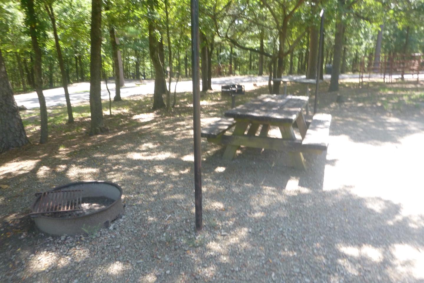 Site E11 with picnic table, fire ring, lantern postsPicnic table, fire ring, lantern posts at site E11