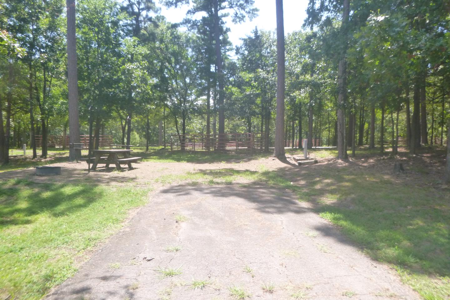 Site E13 with picnic table, horse pen