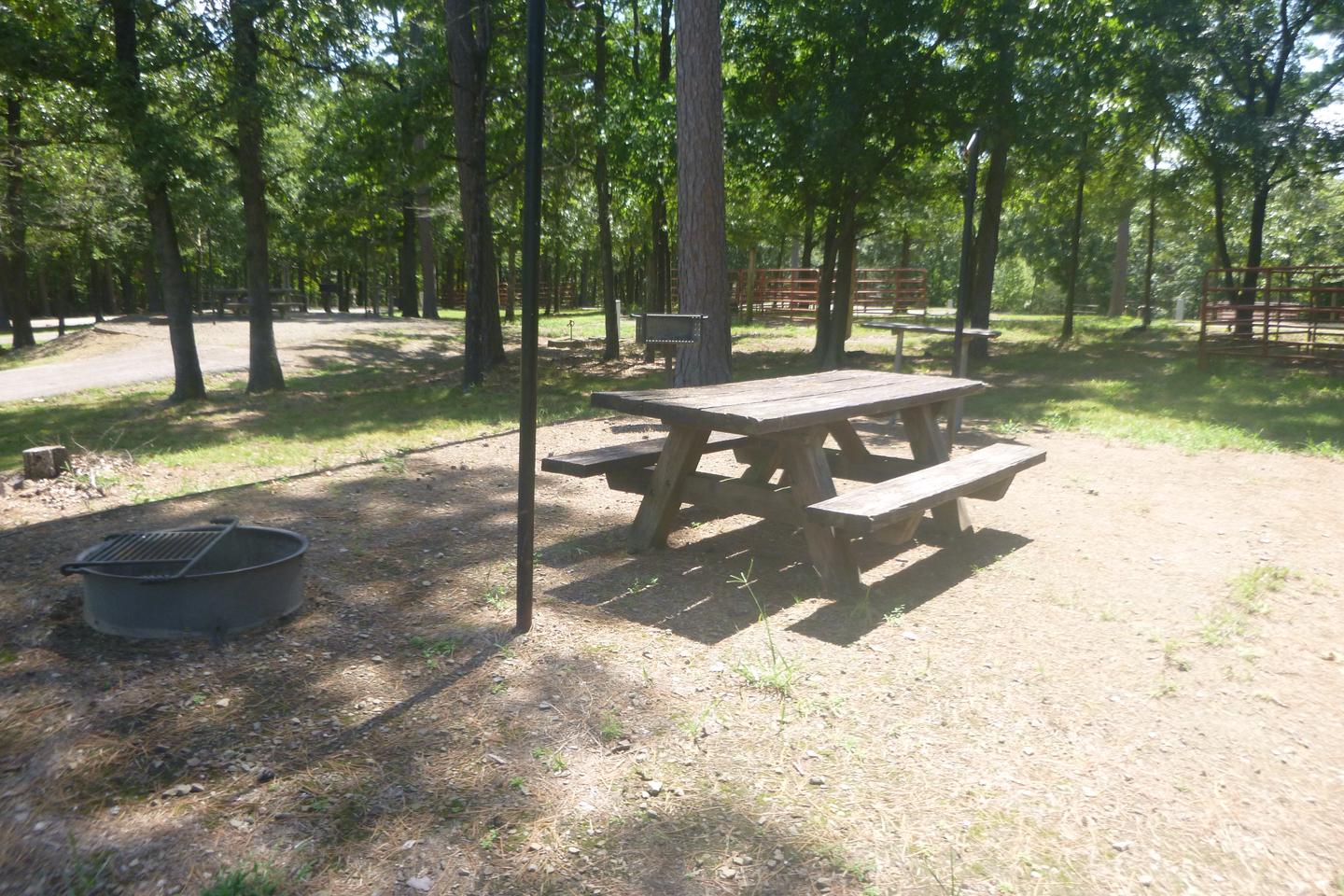 Site E13 with picnic table, lantern post, grill, fire ringSite E13 with picnic table, lantern posts, grill, fire ring