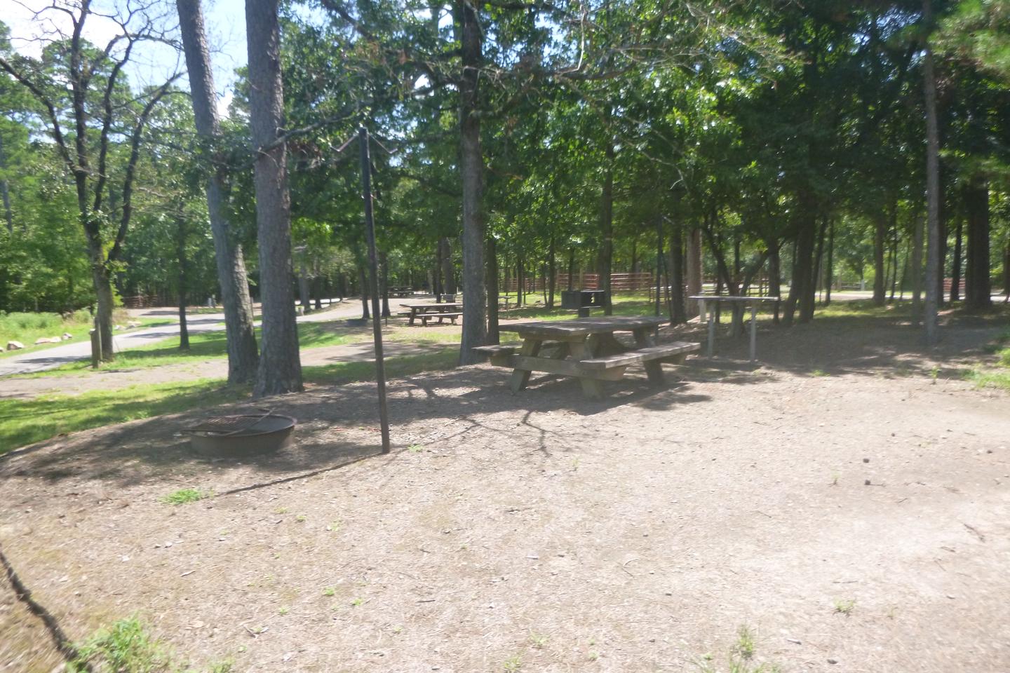 Site E14 with picnic table, fire ring, grill, lantern posts