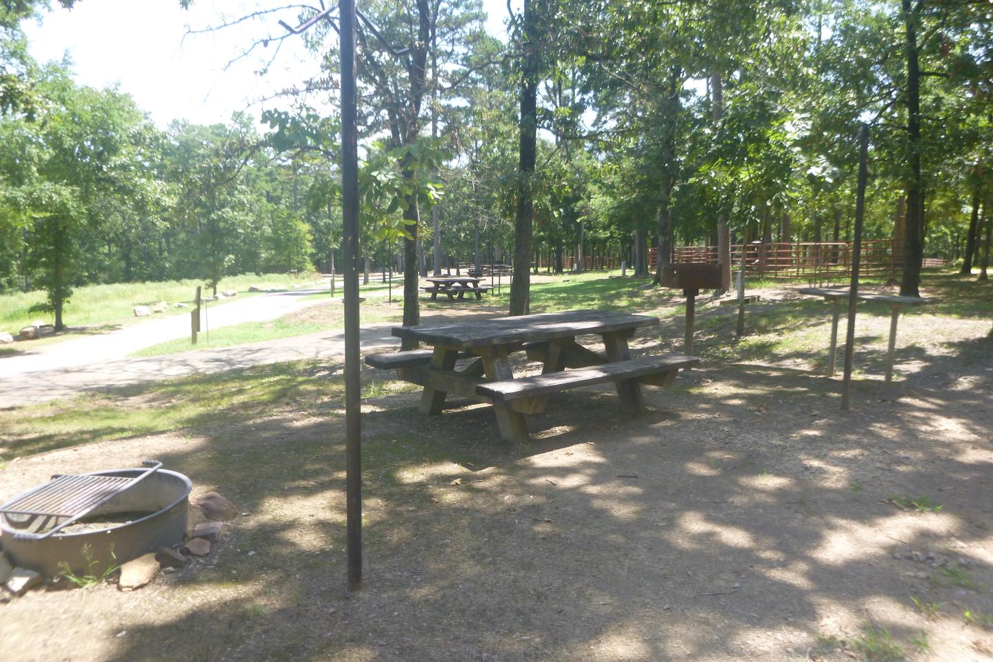 Site E16 with picnic table, lantern posts, grill, fire ring