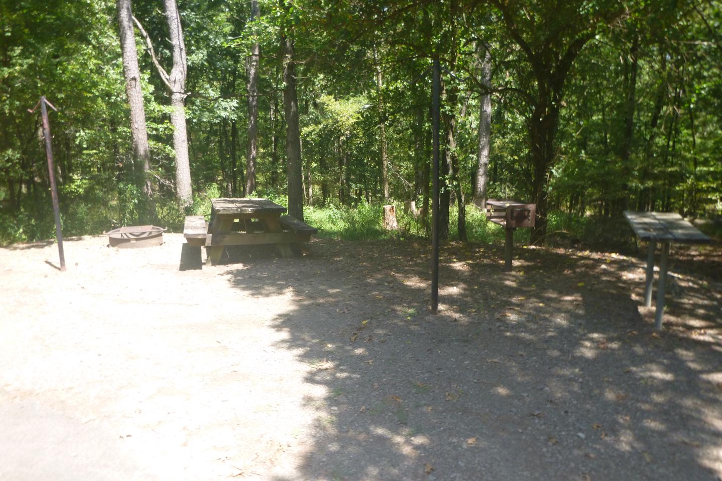 Site E19 with picnic table, fire ring, lantern posts, grill