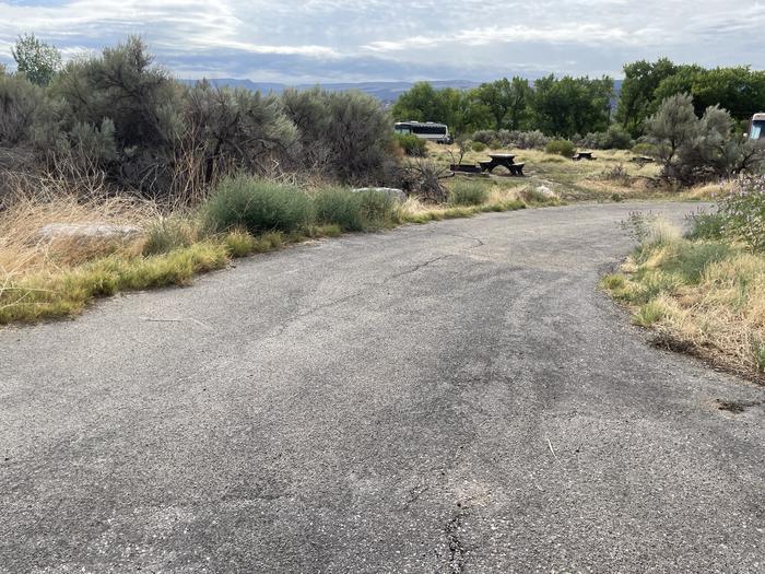 A photo of Site 11 of Loop A at GREEN RIVER CAMPGROUND with Picnic Table, Fire Pit