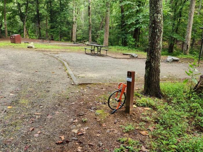 Come and join the funLow Gap Campsite 1 is located along the creek side of this beautiful campground