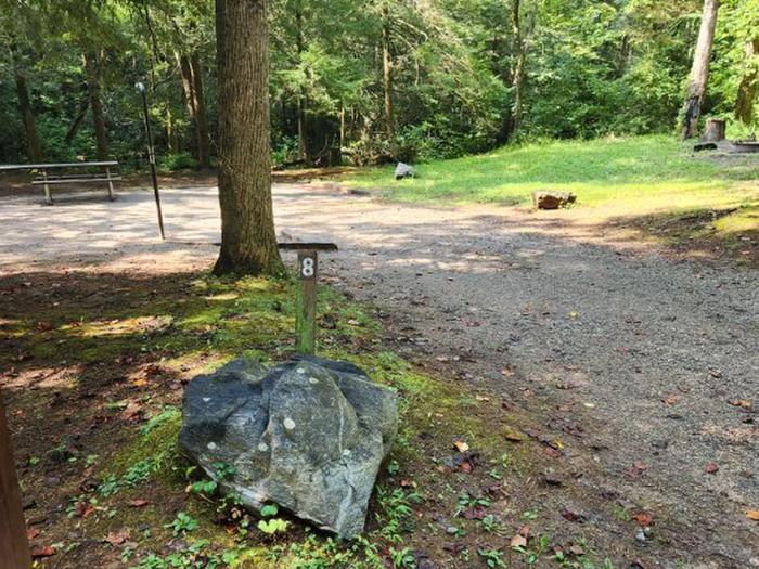 Site 8Welcome to site 8 the first creek side site once you cross the ford on the left