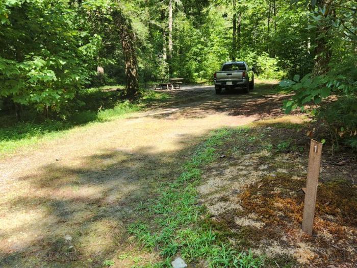 Upper Chattahoochee River CampgroundUpper Chattahoochee site 1