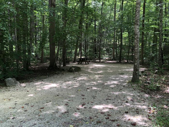 A photo of Site 027 of Loop CAVE MOUNTAIN LAKE FAMILY CAMP at CAVE MOUNTAIN LAKE FAMILY CAMP with Picnic Table, Fire Pit, Shade, Tent Pad, Lantern Pole