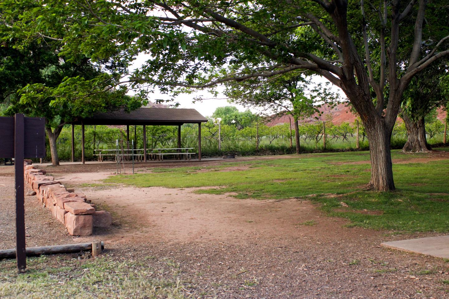 A grassy area. A couple of trees are in the area. A pavilion with picnic tables is in the background.View of Group Site from one side.