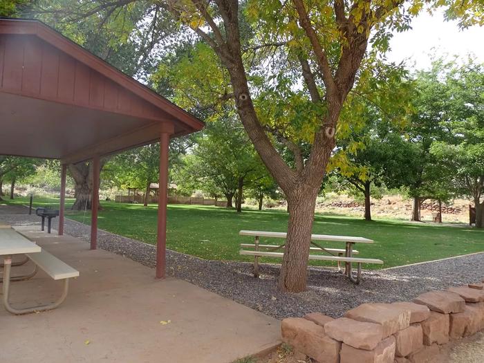 A large tree is in front of a white picnic table. A brown pavilion is to the left, a white picnic table is underneath it and the picnic table is on top of concrete. A grassy area with many trees are in the background. The Group Site includes two covered pavilions, designated tent pads, restrooms, grills, fire pits, and an outside sink.