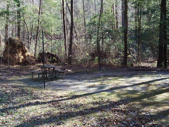 Hillside siteUpper Chattahoochee River CG Site 3 on the open hill side of the campground