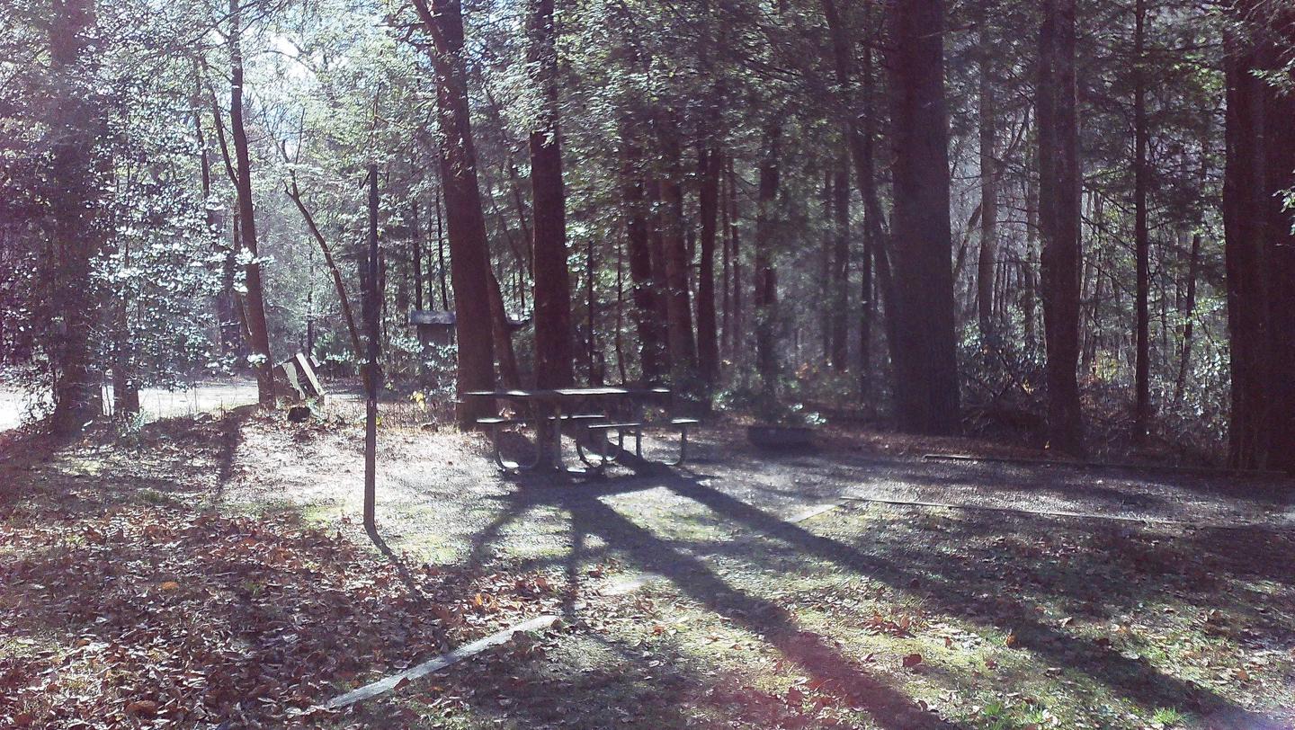 Winter pictureA beautiful winter day at Upper Chattahoochee River site #5