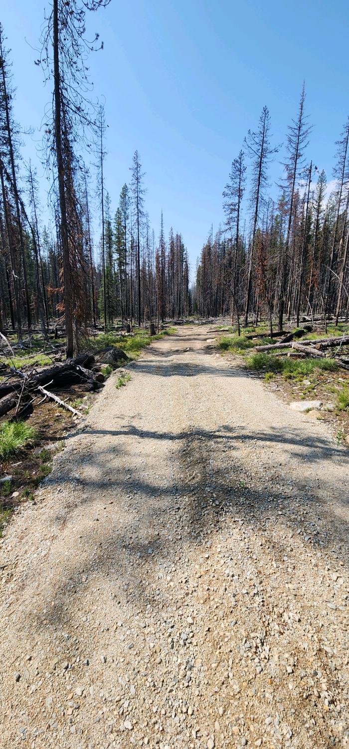 Rough road into cabin