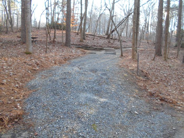 Another viewWelcome to a winter shot of Lake Russell site #1