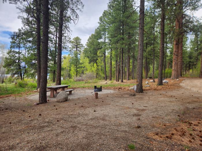 Site 6 from back side, table & fire pit on "wrong side" if backed in