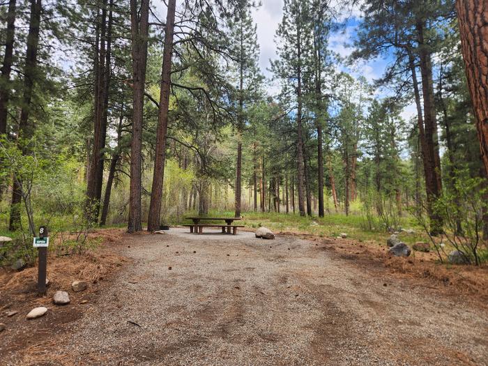 Site 8 with fire pit and table at rear