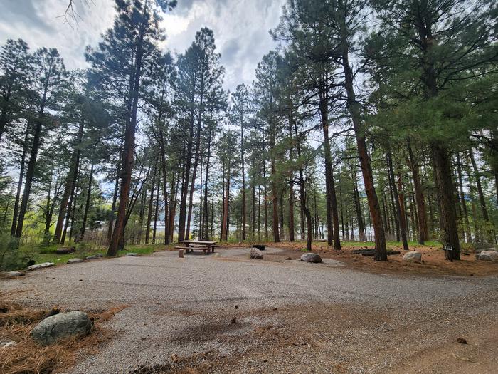 Site 14 with picnic table and fire ring on "correct" side